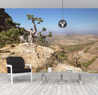 Picture of Landschaft von Tigray thiopien Afrika